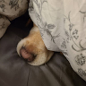 Meet your Posher, Kristen